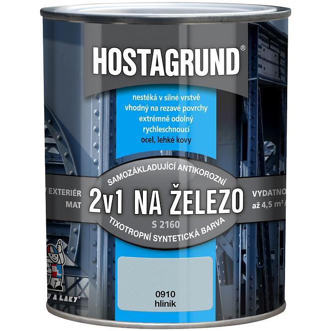 Hostagrund S2160 2v1 na Železo Hliník 0,6l