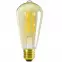 Žiarovka Filament XLED ST64 7W-WW,2