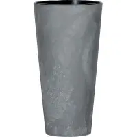 sivá