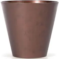 hnedý