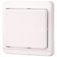 Spínač 1-pólový TESLA white 26060
