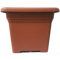 hnedý
