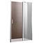 Sprchové dvere Milos 100/195 čisté sklo 6MM,3