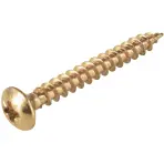 Vruty oblá hlava pasivované na žlto 3,5x35mm