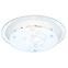 Luster Ballerina I 48090 Pl1,2