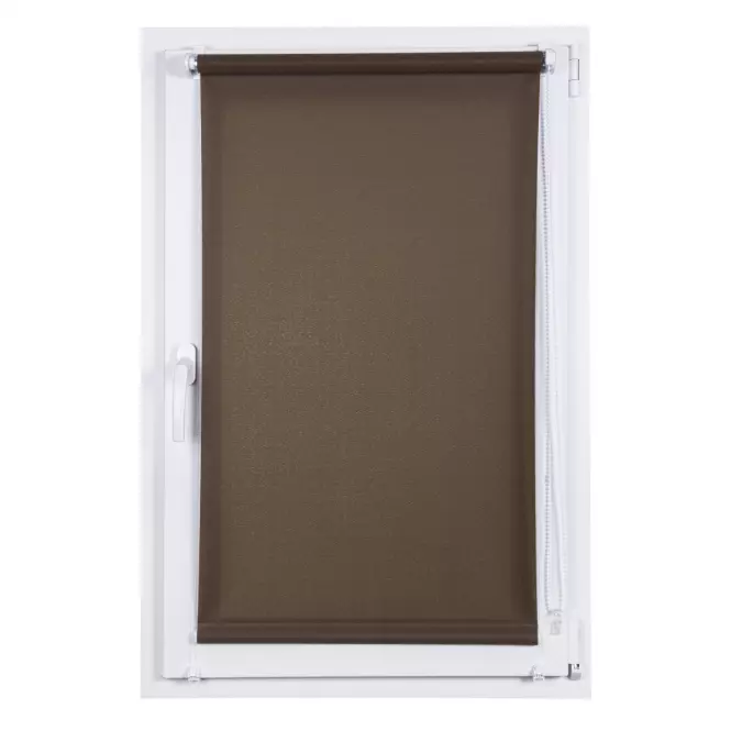Roleta Mini Lech 68/150 507