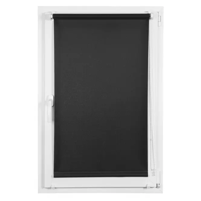 Roleta Mini Lech 68/150 2091