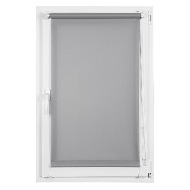 Roleta Mini Lech 68/215 2082
