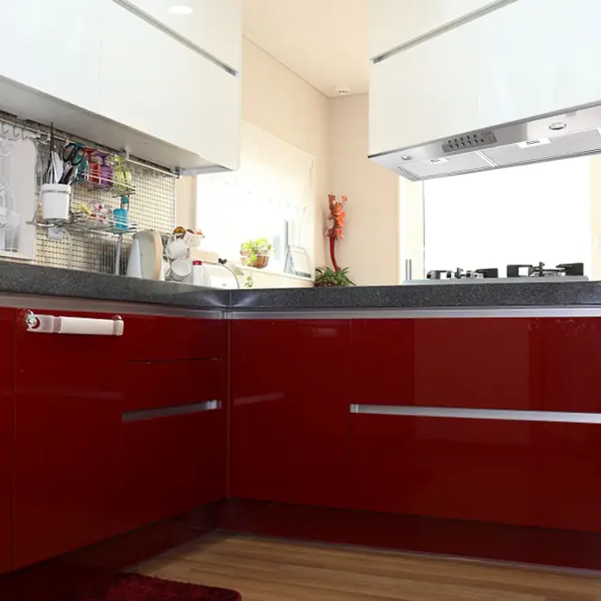 Digestor WK-4 Neva Eco inox,5