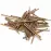 Klince  stolar.mosadz 1,6x30 100ks