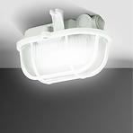 Stropné svietidlo 90046 oválne IP54 60W biele