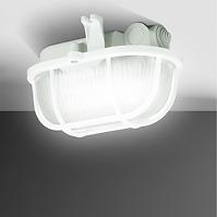 Stropné svietidlo 90046 oválne IP54 60W biele