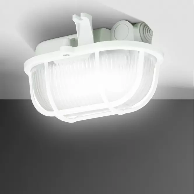 Stropné svietidlo 90046 oválne IP54 60W biele