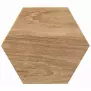 Gresová dlažba Atlas Hexa Marron (GPR) 25,8/29