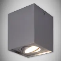 Bodové svietidlo HARY D GU10 SILVER 03715 K1