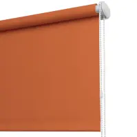 Roleta na stenu 220x175 K825