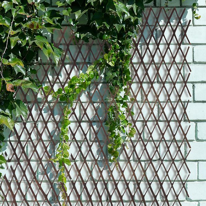 Prútená mriežka JLY-10Q007 60x180 cm