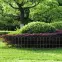 Dekoračné pletivo Garden Fence 65 cm x 10 m Zn+RAL6005,3