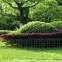 Dekoračné pletivo Garden Fence 40 cm x 10 m Zn+RAL6005,3