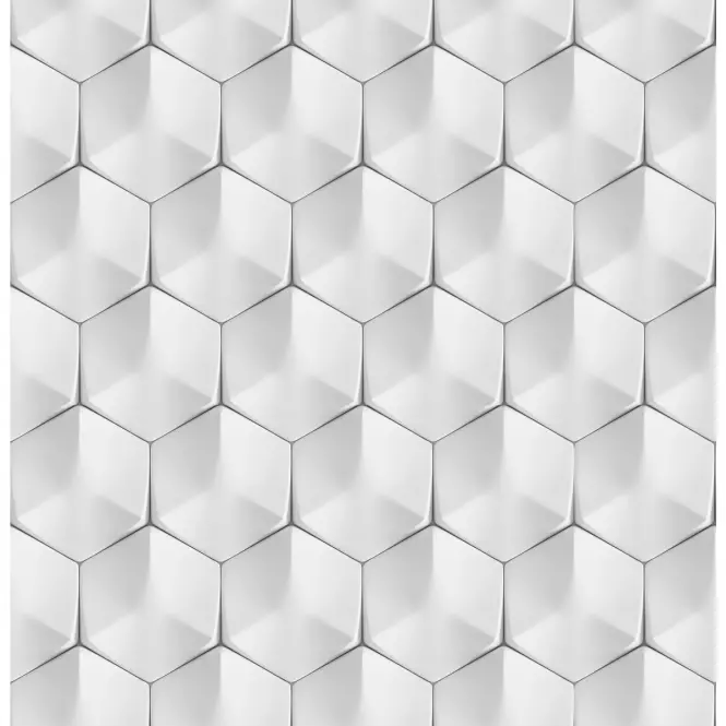 Sklenený panel 60/60 Polar Hex Esg