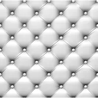 Sklenený panel 60/60 Sofa White Esg