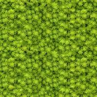 Sklenený panel 60/60 Evergreen-2 Esg
