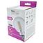 Žiarovka LED 10W E27 TRIXLINE  DECOR FILAMENT G125 2700K,2