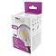 Žiarovka LED G95 6W E27 2700K Decor Filament,2