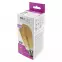 Žiarovka LED ST64 8W E27 1600K Gold Decor Filament,2