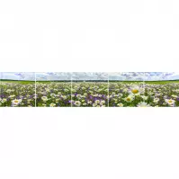 Sklenený panel 60/300 Flowers-3 5-Elem