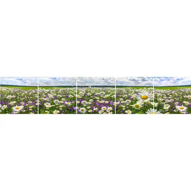 Sklenený panel 60/300 Flowers-3 5-Elem