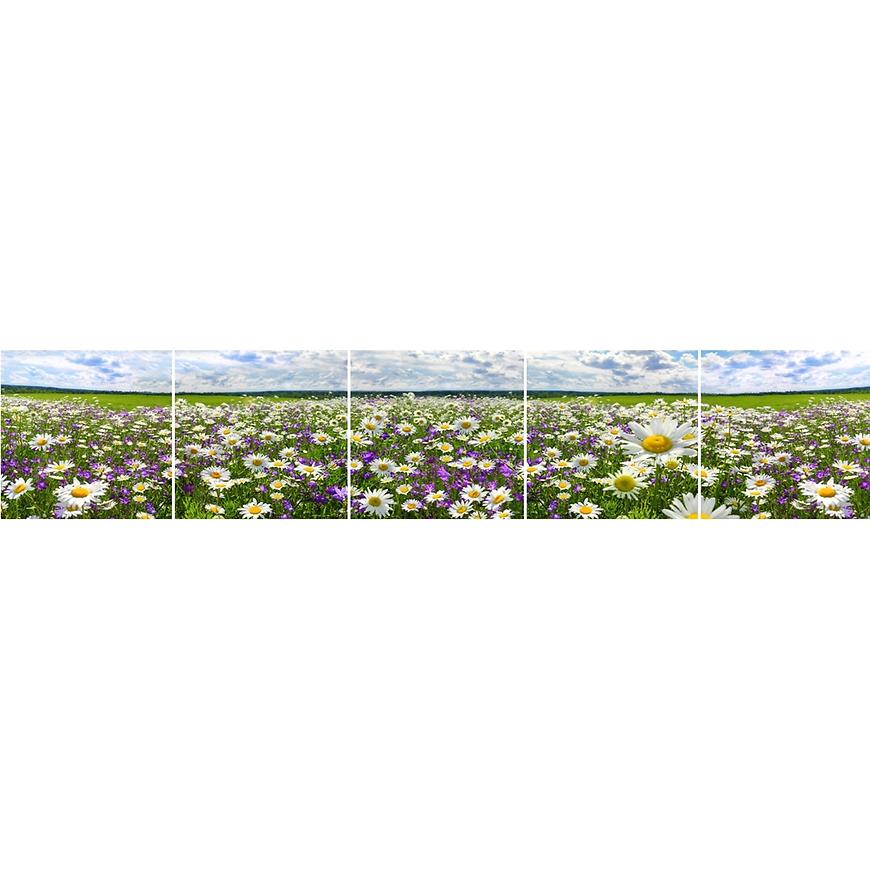 Sklenený panel 60/300 Flowers-3 5-Elem