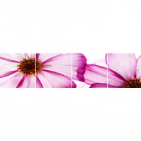Sklenený panel 60/240 Flowers-1 4-Elem