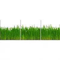 Sklenený panel 60/180 Grass 3-Elem
