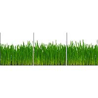 Sklenený panel 60/180 Grass 3-Elem