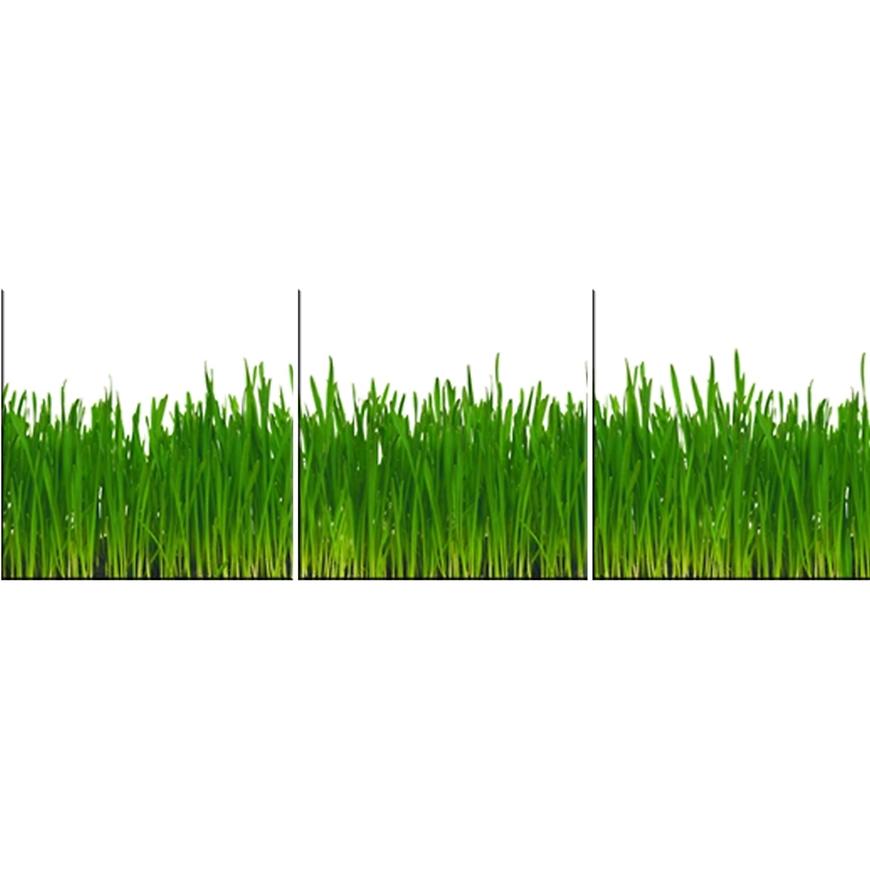 Sklenený panel 60/180 Grass 3-Elem