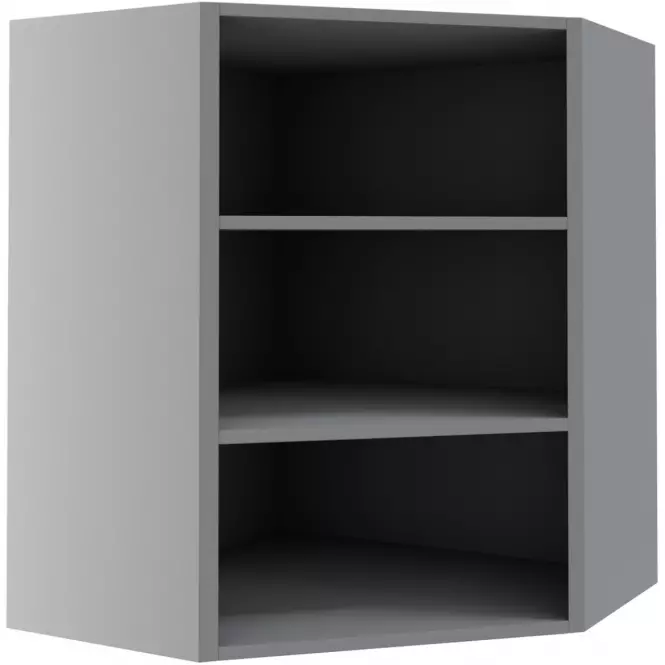 Korpus sivý W 10