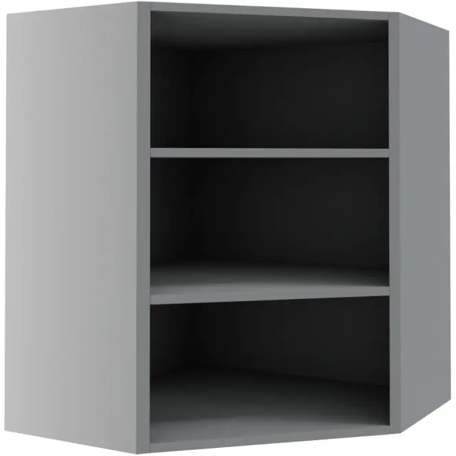 Korpus sivý W 10