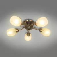 Luster  CL16173-5 PL5