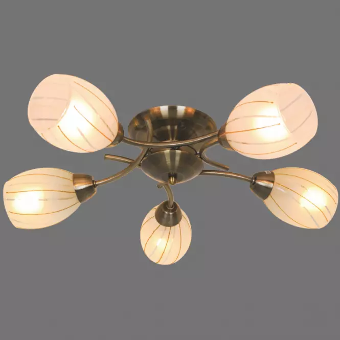 Luster  CL16173-5 PL5