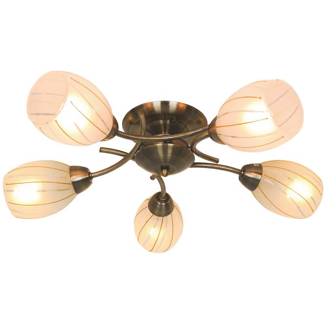 Luster  CL16173-5 PL5