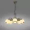 Luster  P18395A-5 LW5