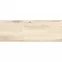 Obklad Torino Beige 25/75