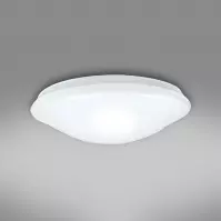 Luster Ceiling PLP16W 4000K IP44 45256 PL1