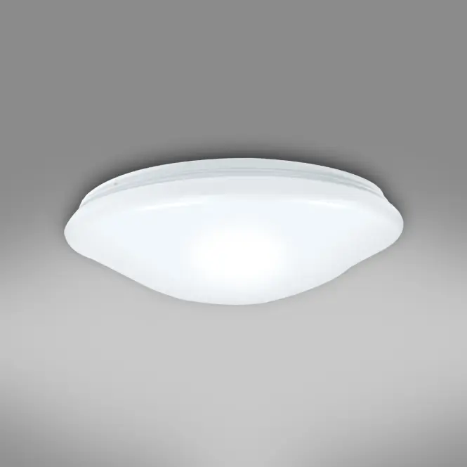 Stropné svietidlo prisadené Ceiling PLP24W 4000K IP44 45257 PL1