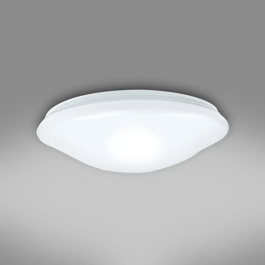 Fotografia produktu: Stropné svietidlo prisadené Ceiling PLP24W 4000K IP44 45257 PL1