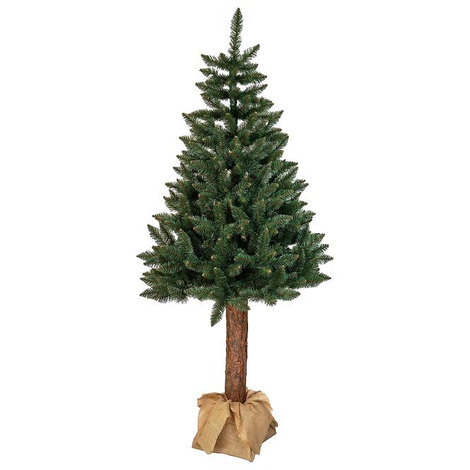 Smrek na kmeni 220 cm