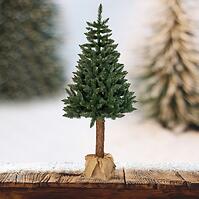 Smrek na kmeni 220 cm