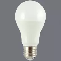 Žiarovka LED A60 7W E27 6500K HD110