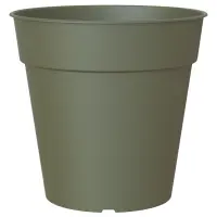 zelená